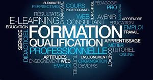 Formation et qualification des compétences digitales
